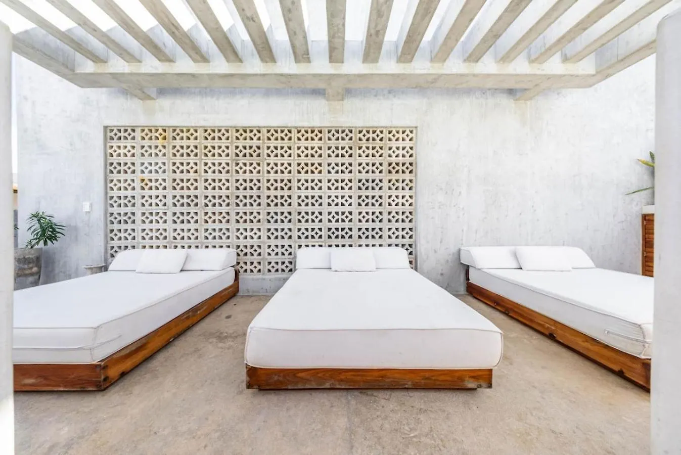 Jungle Chic King Studio With Pool Tulum